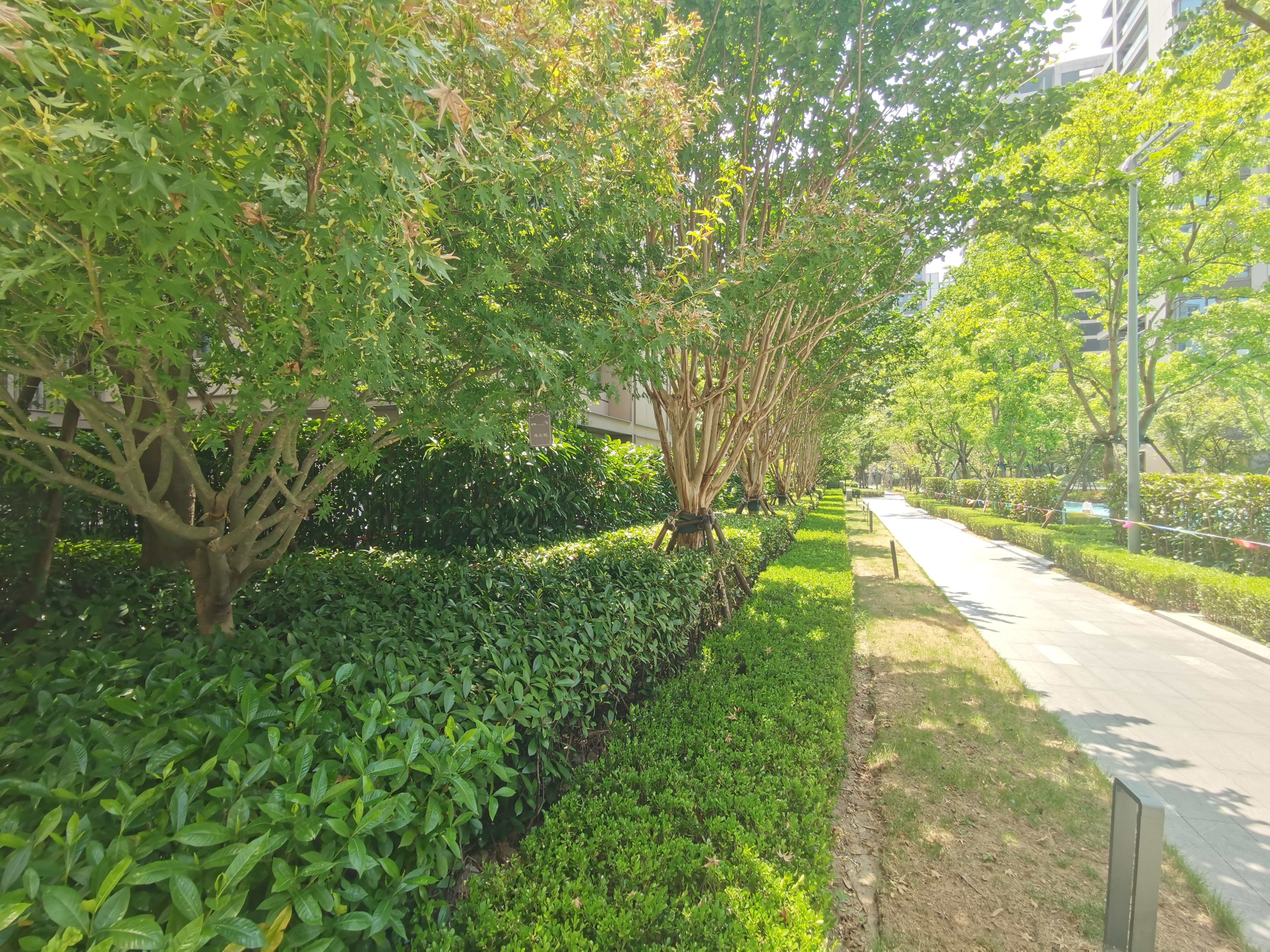 前湾国际中区小区实景 6