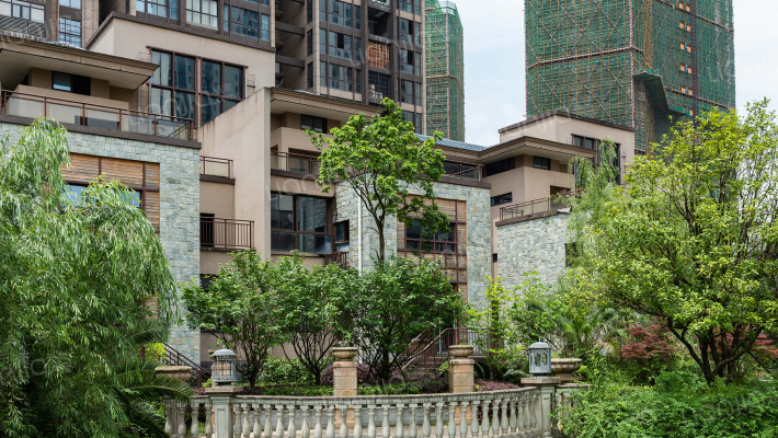 星月绿洲外景图