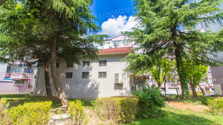 山龙新村外景图