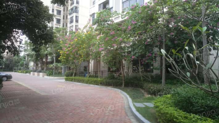 中珠喜悦外景图