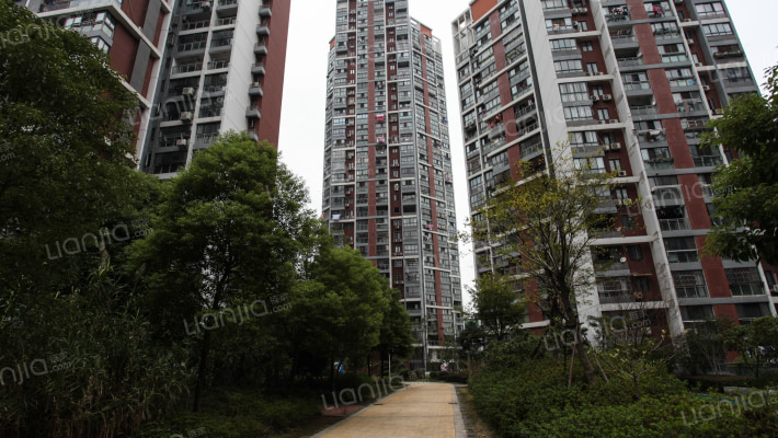 南国花郡外景图