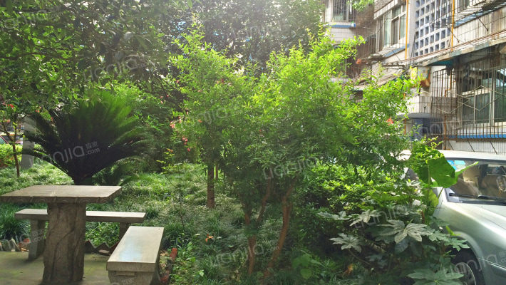 百花新居外景图