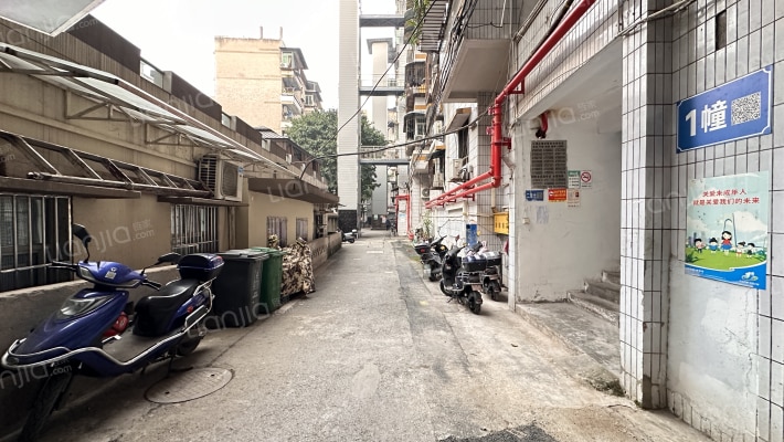 清平巷教委家属院外景图