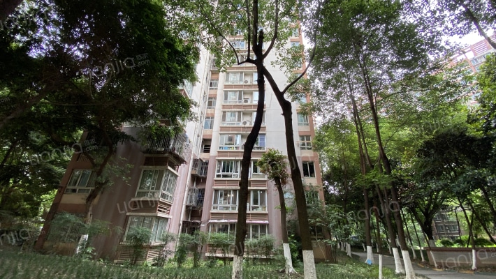 天府名居外景图