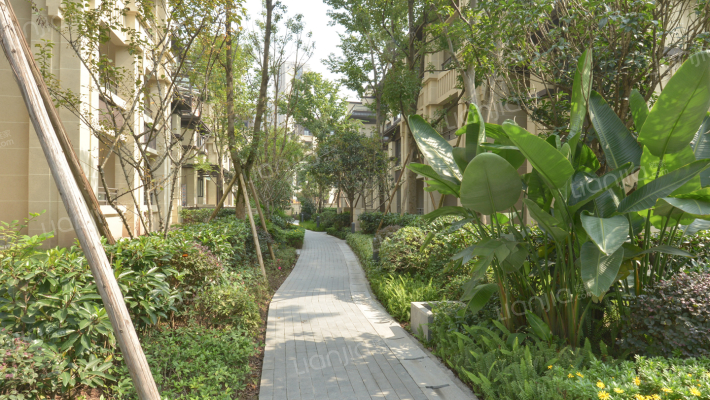 金茂墅倾心外景图