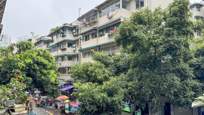 临江路9号外景图