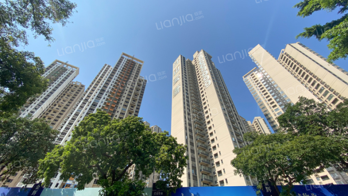 金辉路劲江山云著外景图