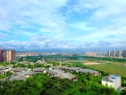 保利雨林澜山实景图