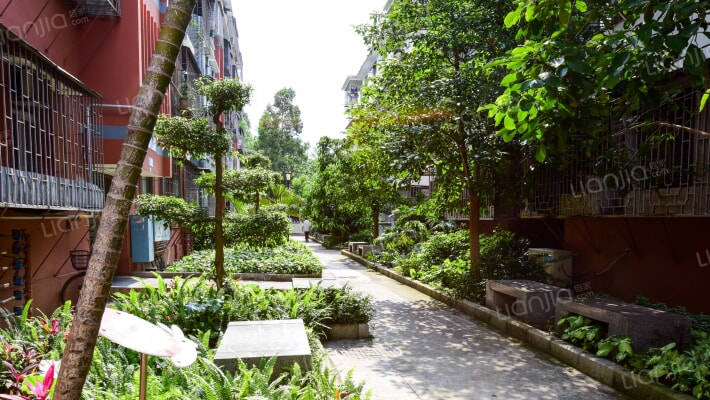 海关宿舍楼外景图