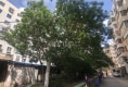 华光社区户型图实景图