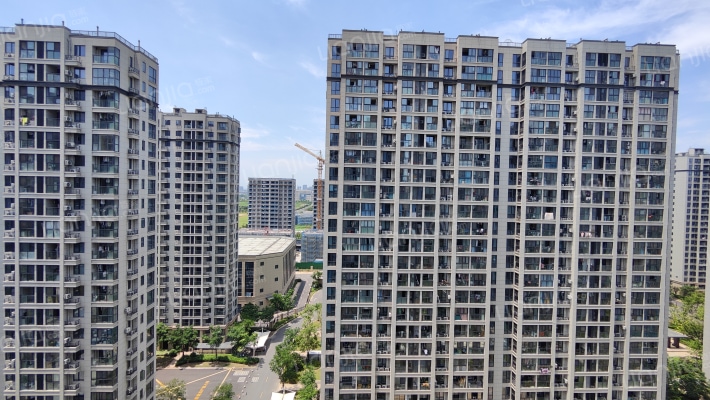 结网嘉苑西区外景图