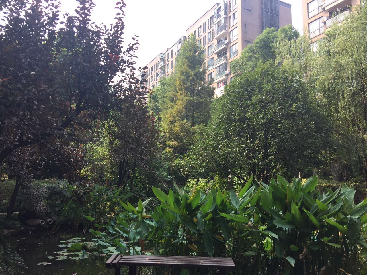 New Century City compound photo 26