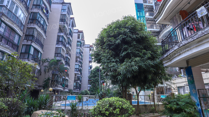 半山翠庭外景图