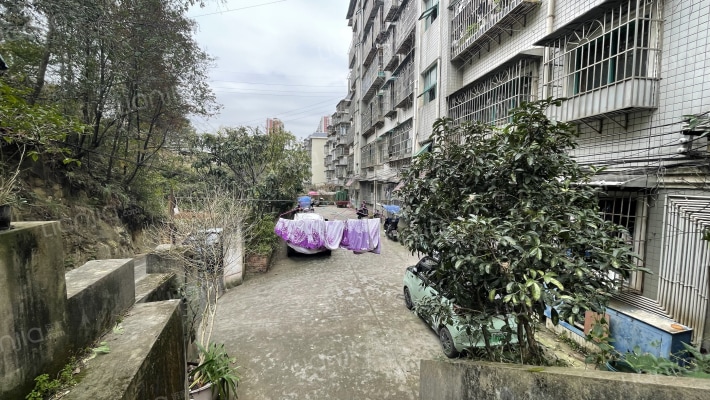 青龙路94号外景图