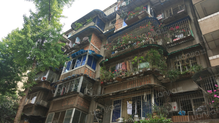 文华路15号外景图