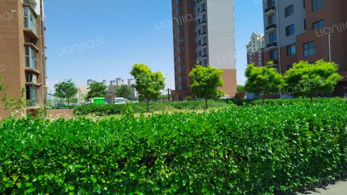 桥园里小区外景图