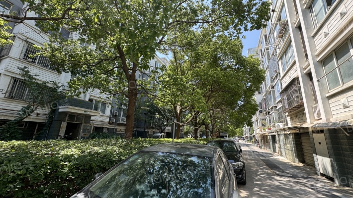 上海春天外景图