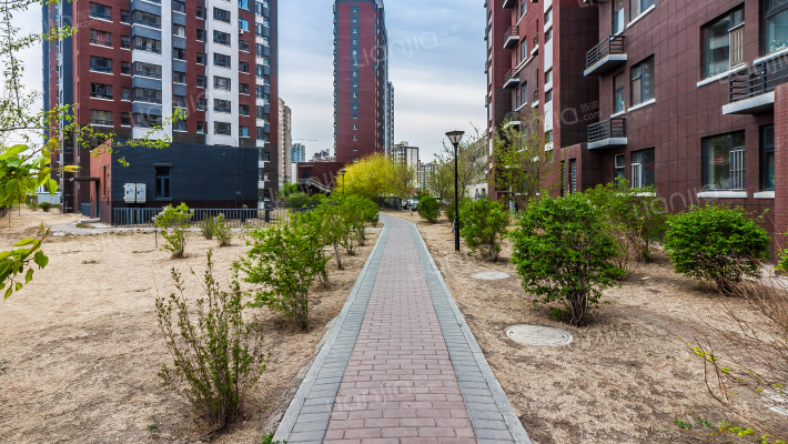 宜家观澜外景图