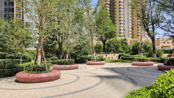 御锦城阳光里外景图