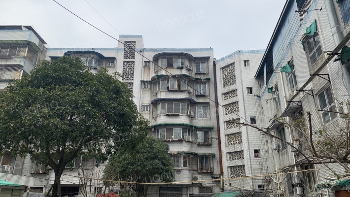 东南市街128号外景图