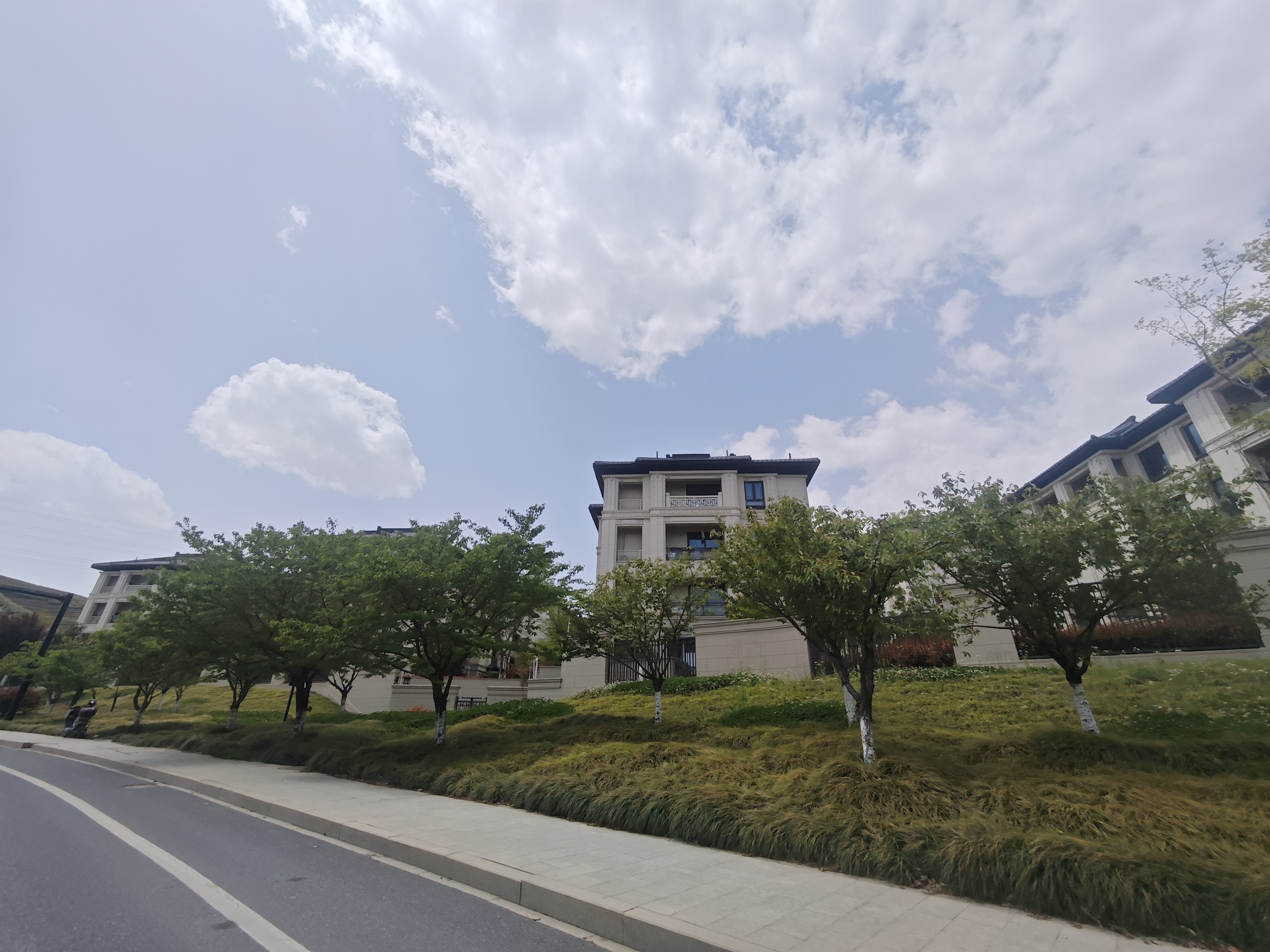 绿城茗春苑小区实景 5