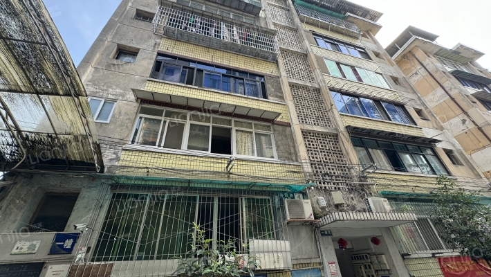 林园路58号外景图