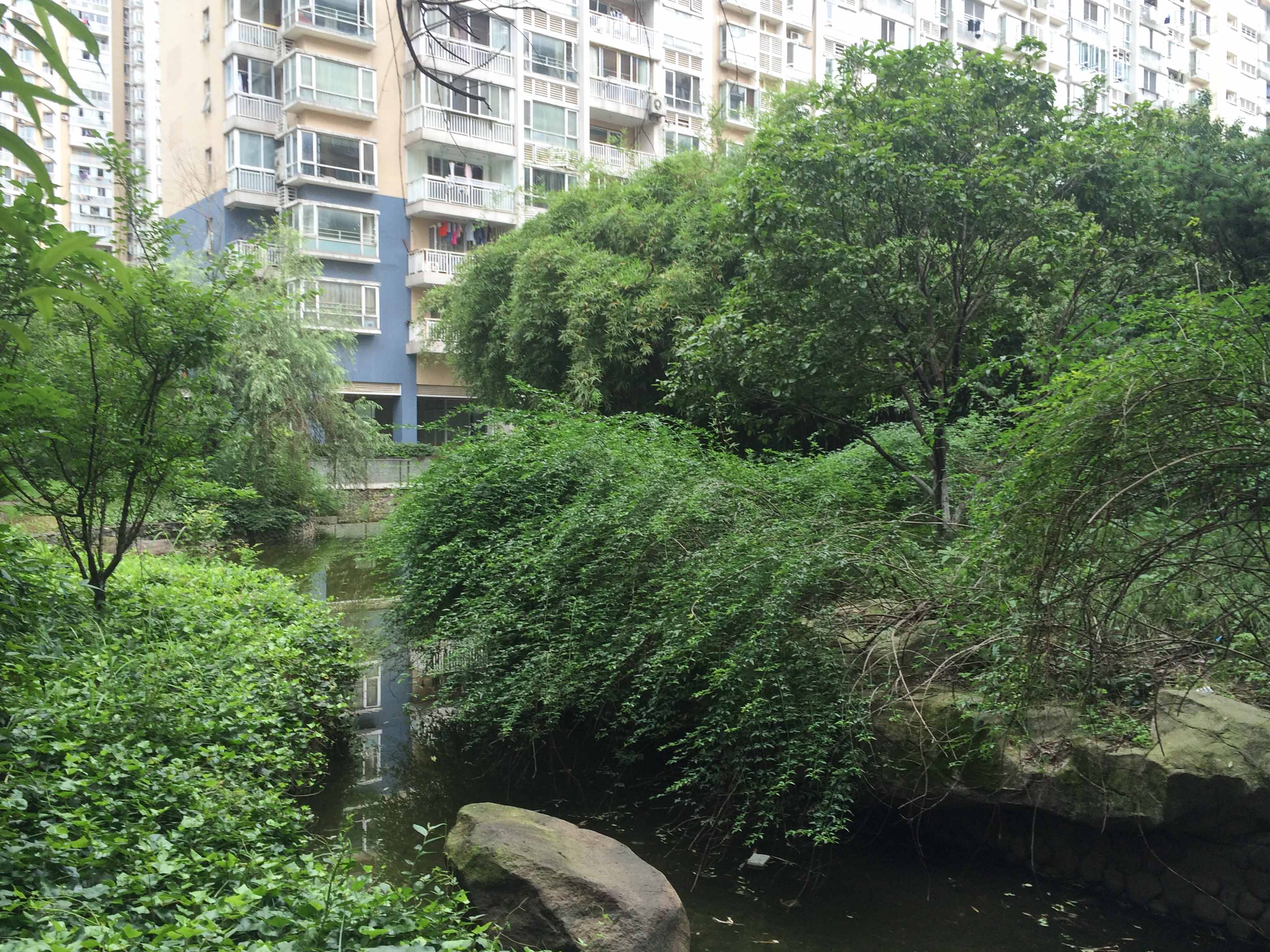 江南豪园小区实景 5