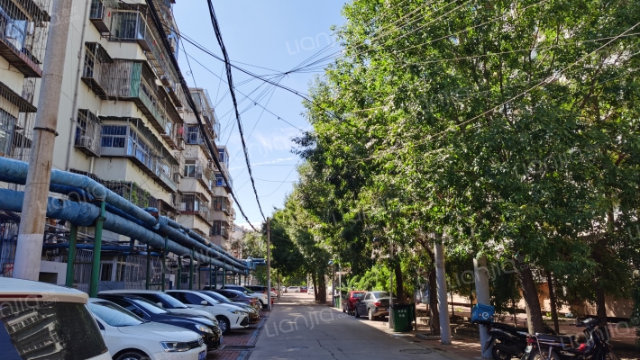 河北路(向阳街)外景图