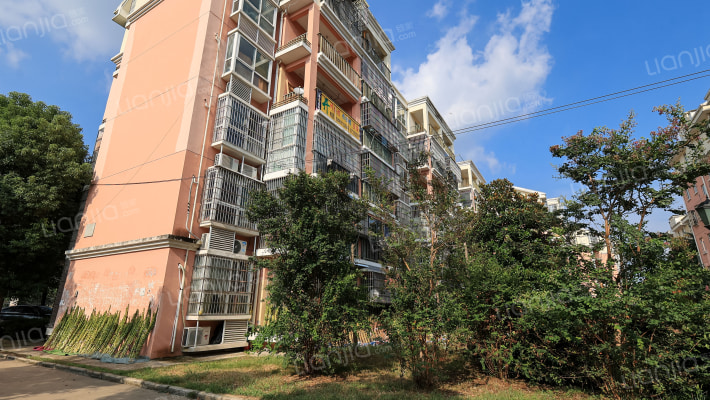 撮镇化肥厂小区外景图