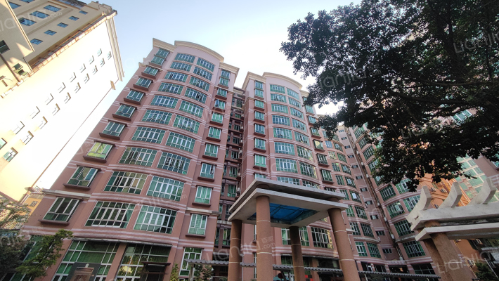 金美花园外景图