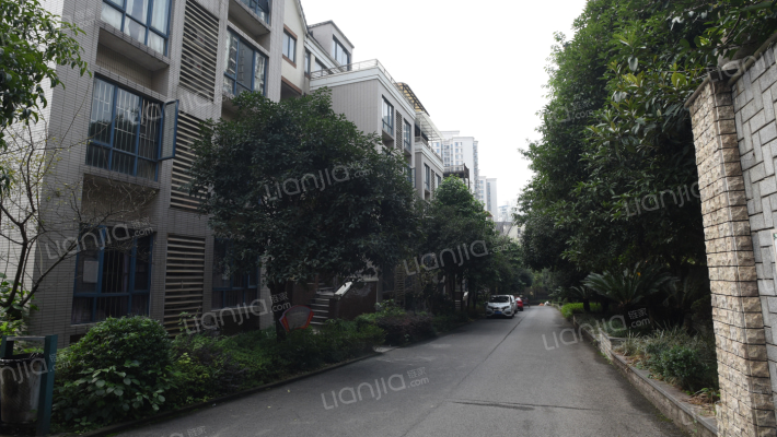 碧水康桥外景图