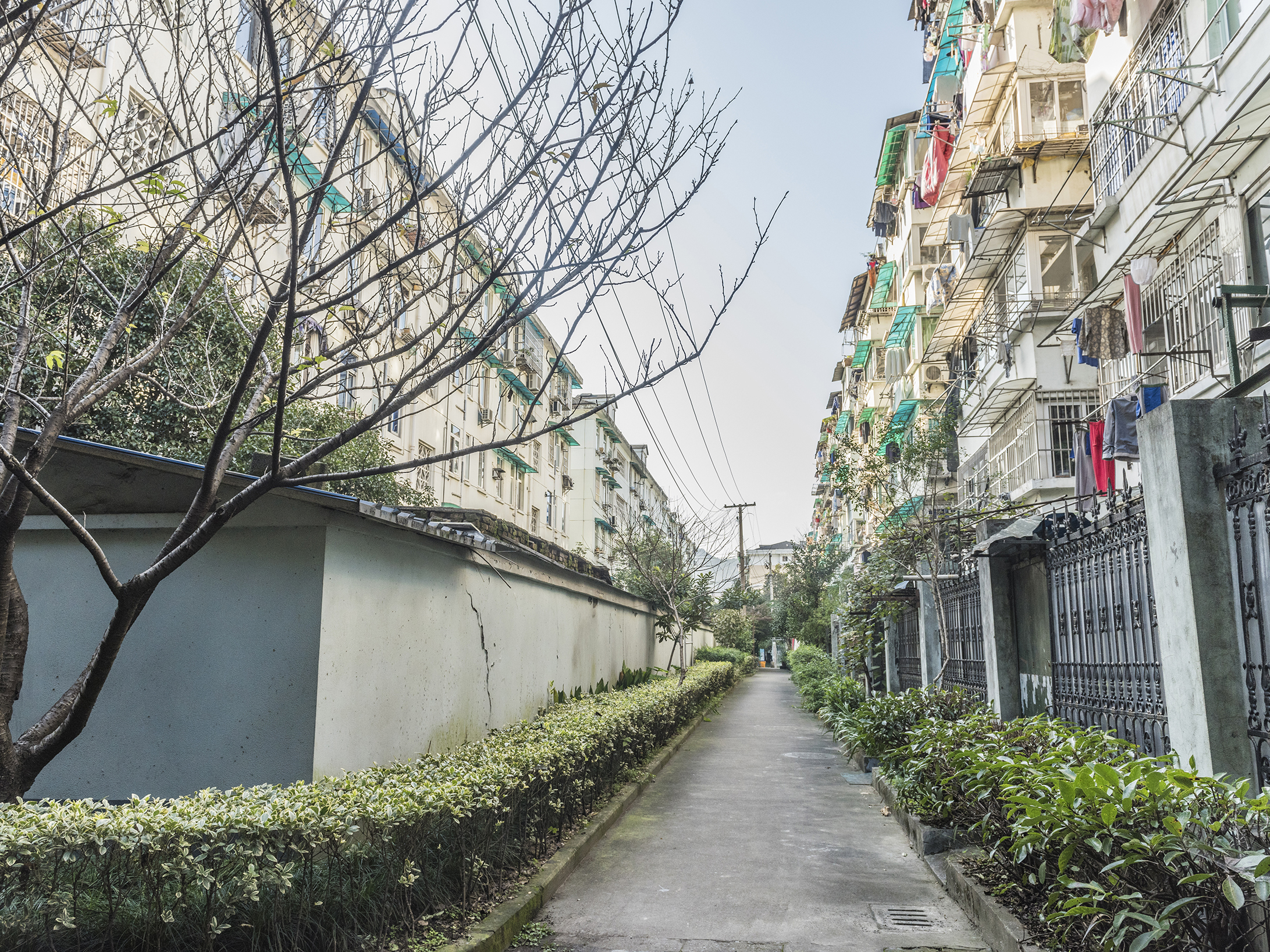 Shuguang Xincun compound photo 10