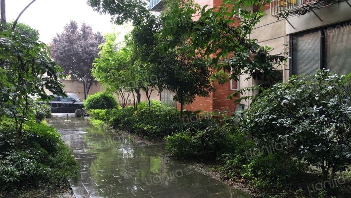 新航印象外景图