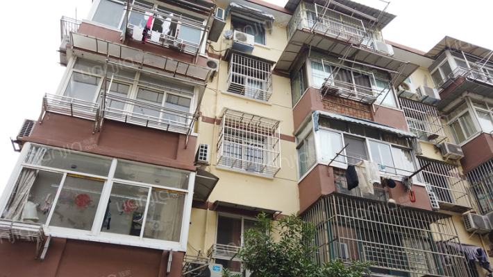 普德村118号外景图