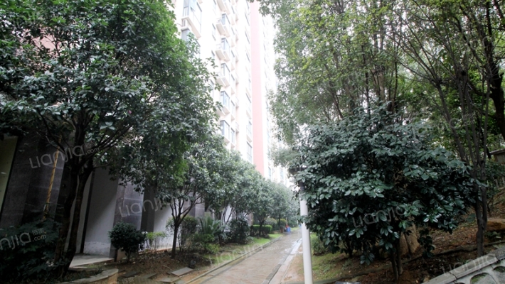 西点公园里外景图