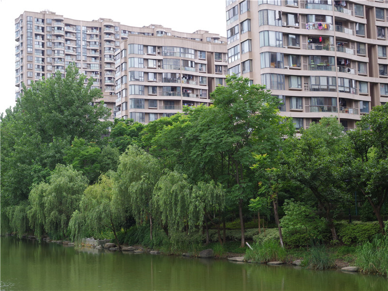 耀江文鼎苑 小区实景 28