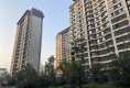 学林春晓户型图实景图