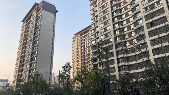 学林春晓外景图