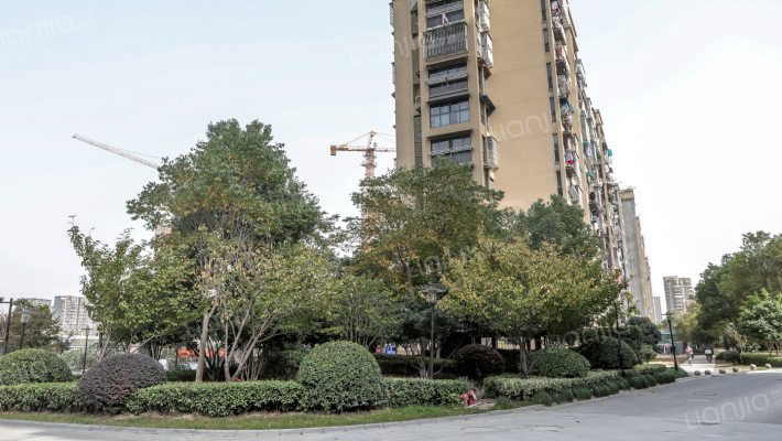 江岸邻里外景图