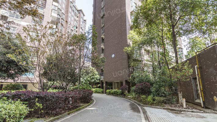 森林公园壹号外景图