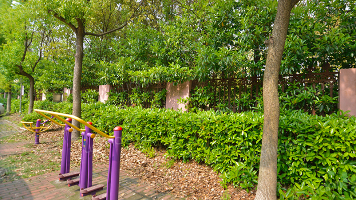 玉树公寓外景图