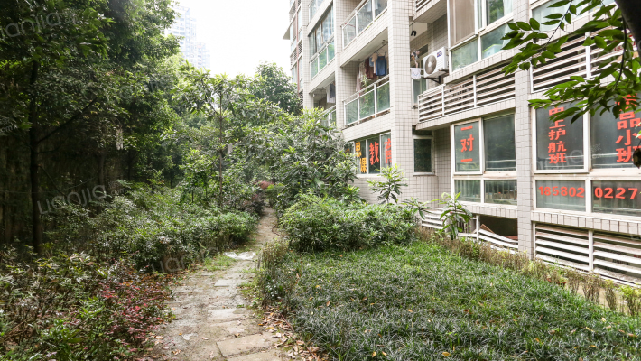 鲁能巴蜀中学教师楼外景图