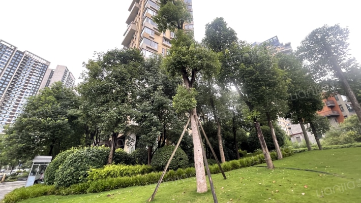 麓湖生态城云树外景图