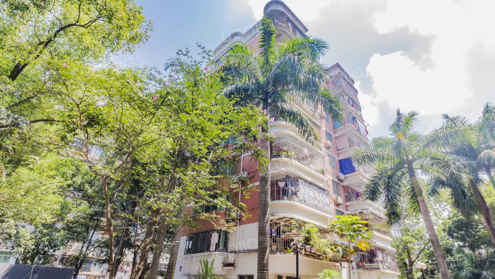 天马新村外景图