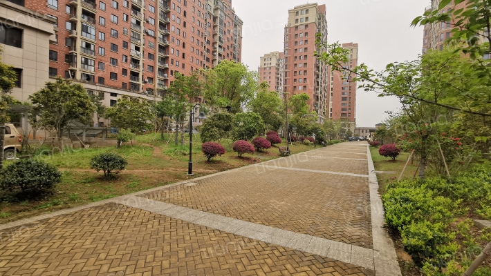 禹丰嘉苑外景图