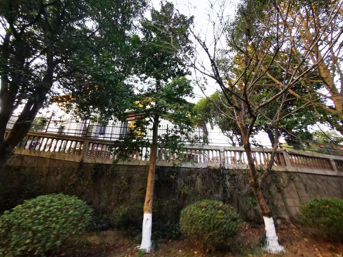 Jing Yue Bay compound photo 19