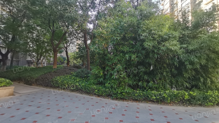 中联皇冠外景图