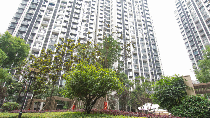 龙湖金楠天街外景图