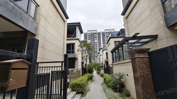 清溪金茂逸墅外景图