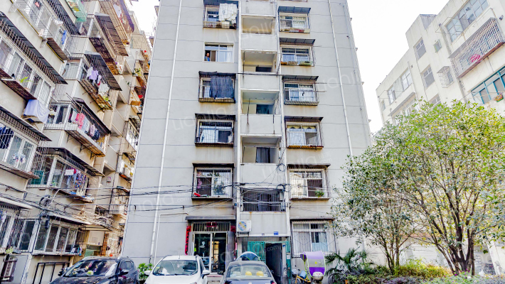 树藩大街451号外景图